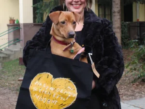 LakhaTáska Jolika rajzával